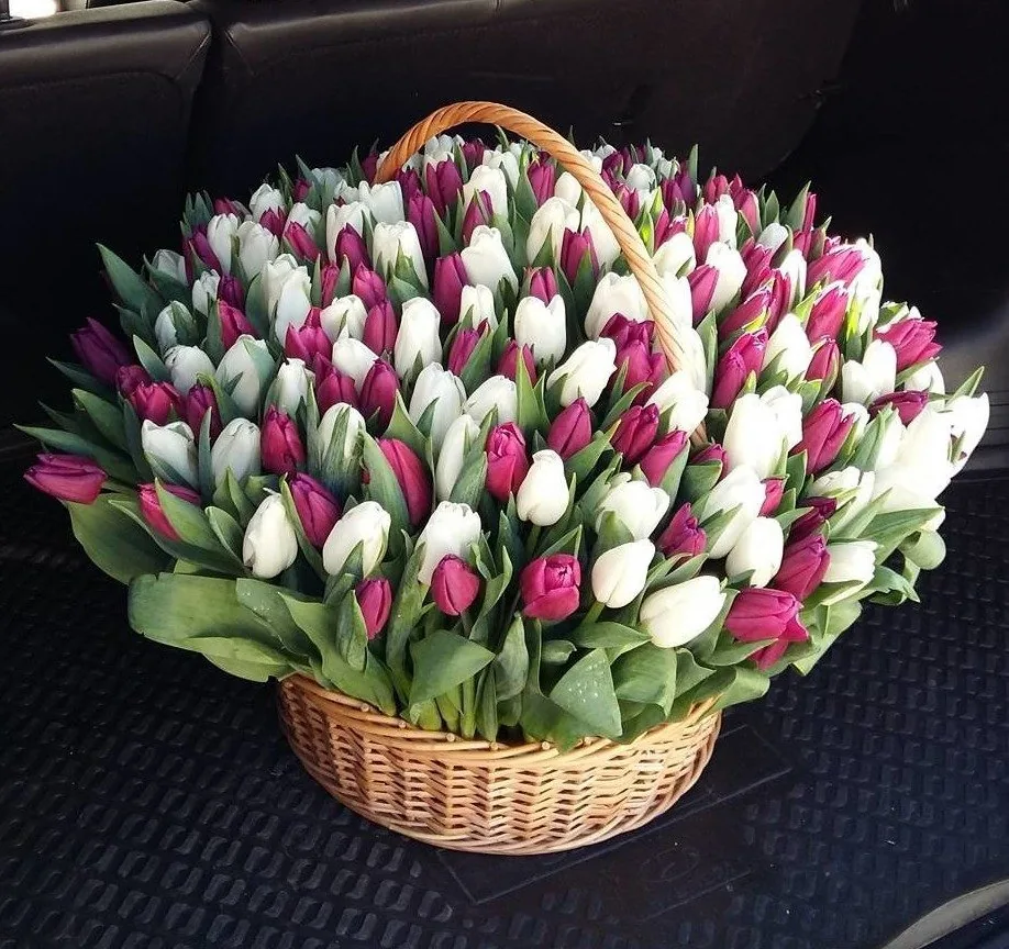 Корзина из 151 тюльпана MIX в Красной Поляне