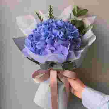 Гортензия "Blue" в Красной Поляне