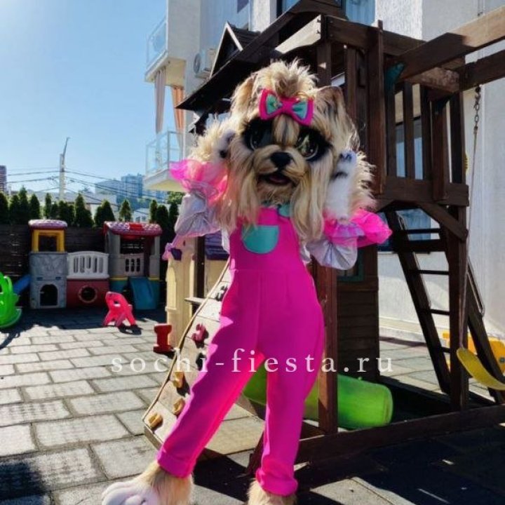 Аниматор Гламурная Собака в Красной Поляне