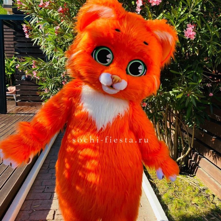 Аниматор Котик в Красной Поляне