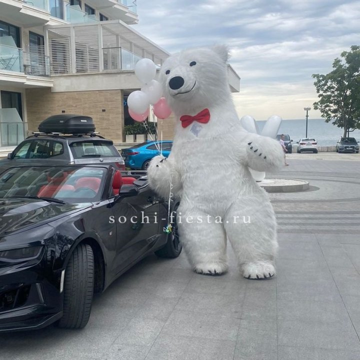 Аниматор Белый Медведь в Красной Поляне