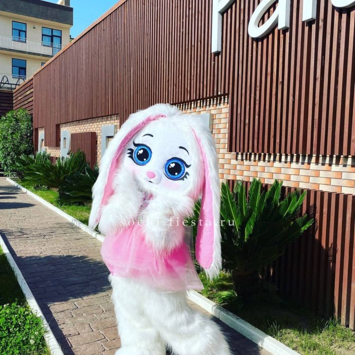 Аниматор Зайка в Красной Поляне