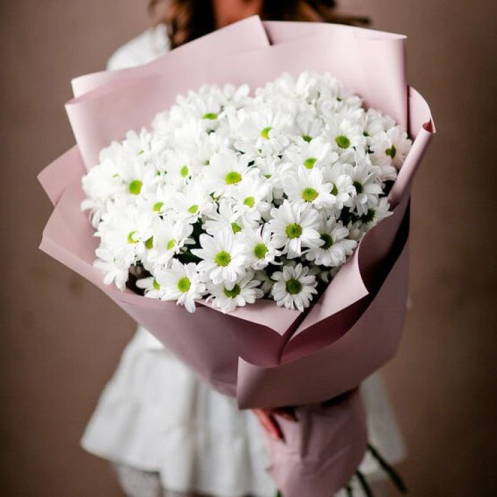 Букет хризантем №2 в Красной Поляне