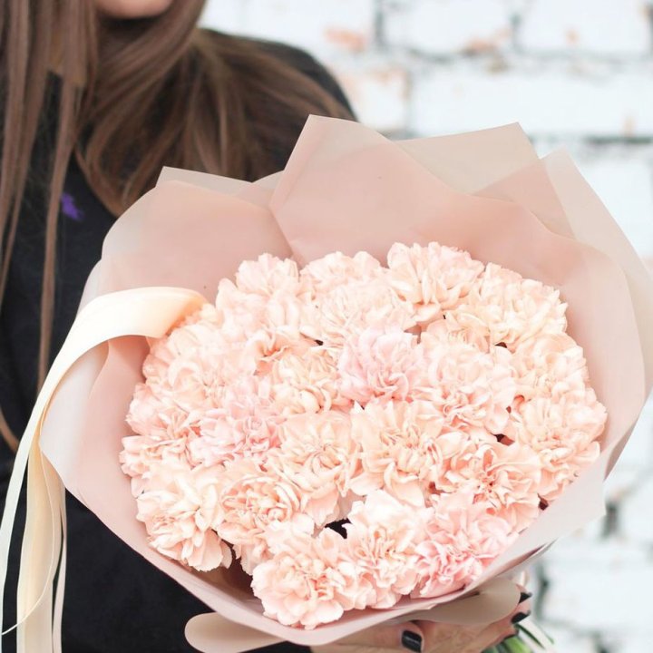 Диантусы №2 в Красной Поляне