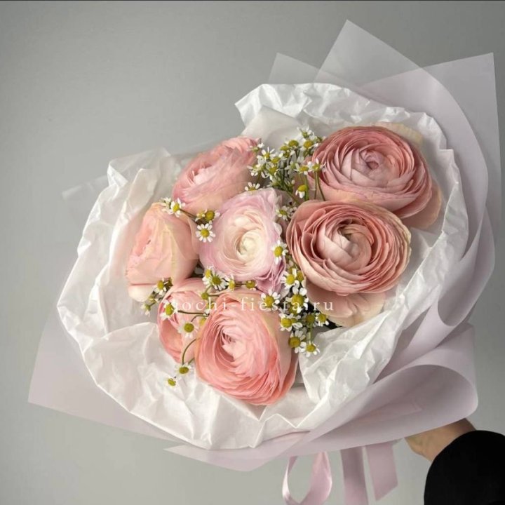 Ранункулюсы с ромашками в Красной Поляне