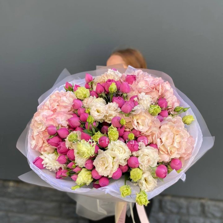  Букет  гортензий и Мисти в Красной Поляне