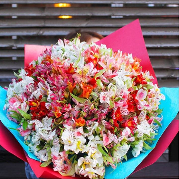 101 альстромерия в Красной Поляне