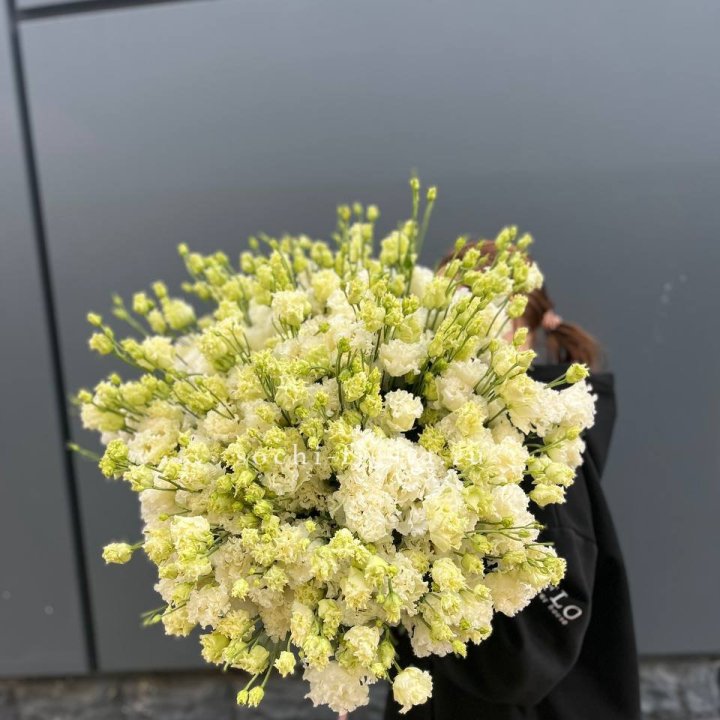 51 белая эустома в Красной Поляне