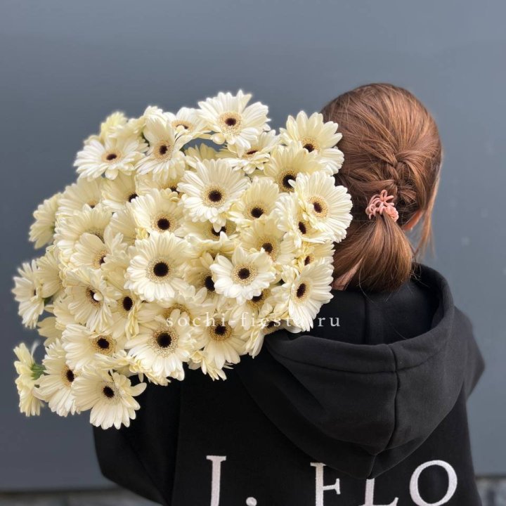 51 гербера в Красной Поляне