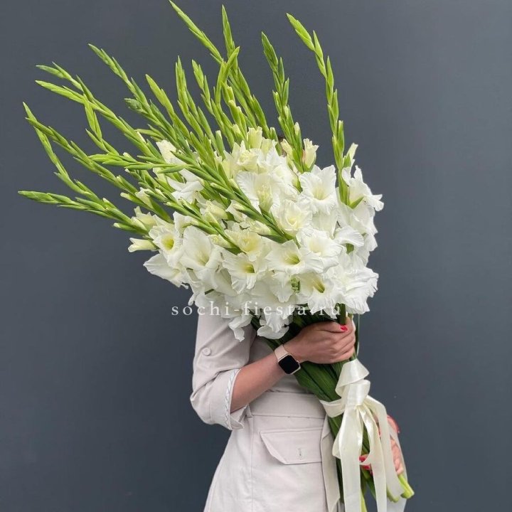 19 белых гладиолусов под ленту в Красной Поляне