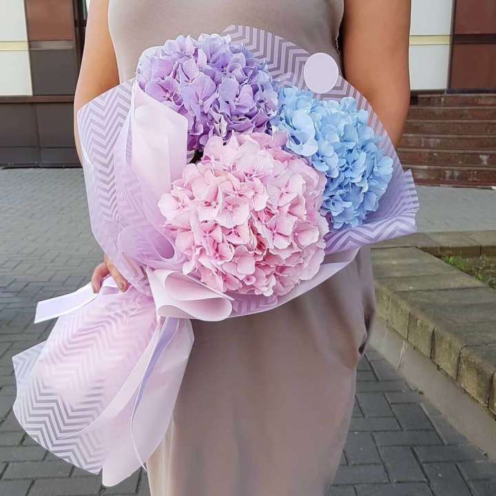 Букет гортензий "Puff" в Красной Поляне