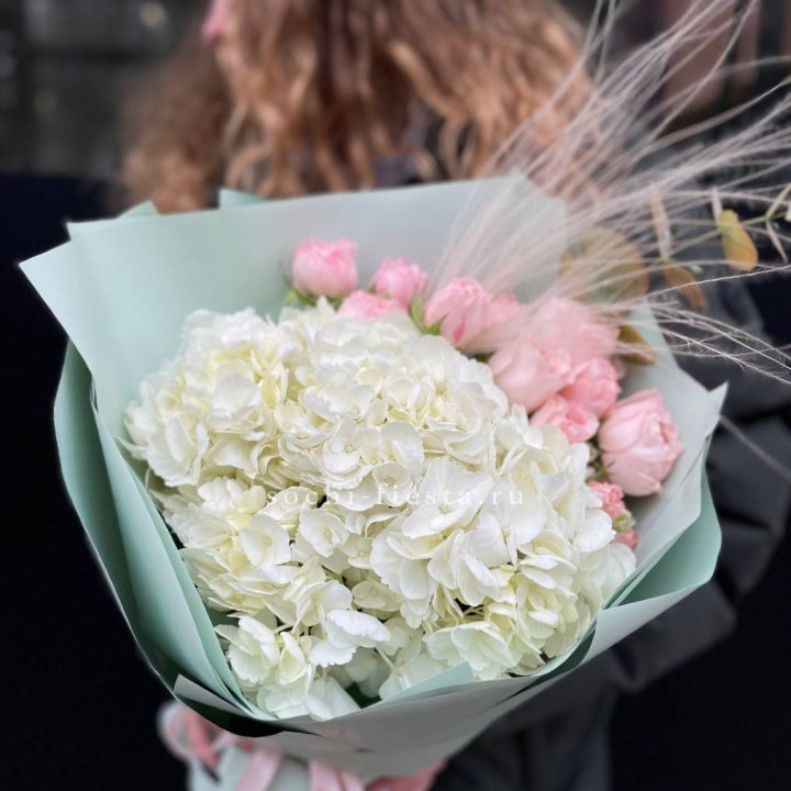 Гортензия "Жасмин" в Красной Поляне