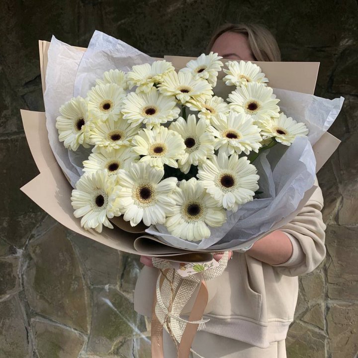 Букет голландских гербер "Shine" в Красной Поляне