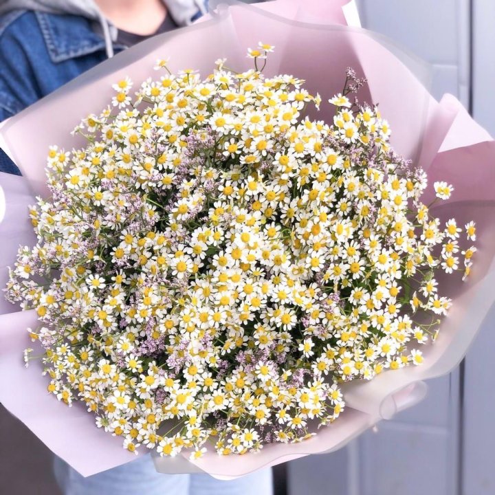Букет ромашек №1 в Красной Поляне