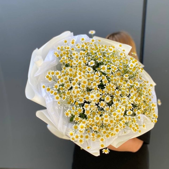 Букет ромашек "Фемели" в Красной Поляне
