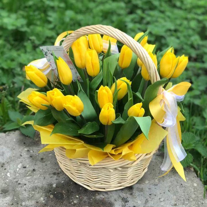25 желтых тюльпанов в корзине в Красной Поляне