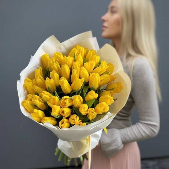 51 желтый тюльпан в Красной Поляне