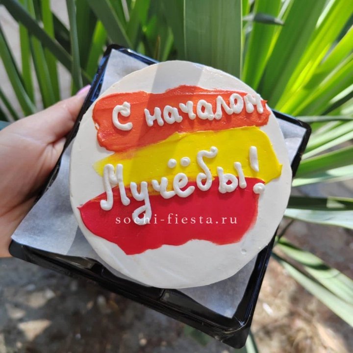 Бенто-торт "С началом учёбы"" в Красной Поляне