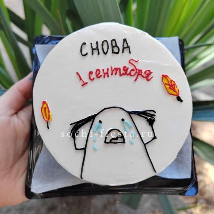 Бенто-торт "Не опять, а снова..." в Красной Поляне