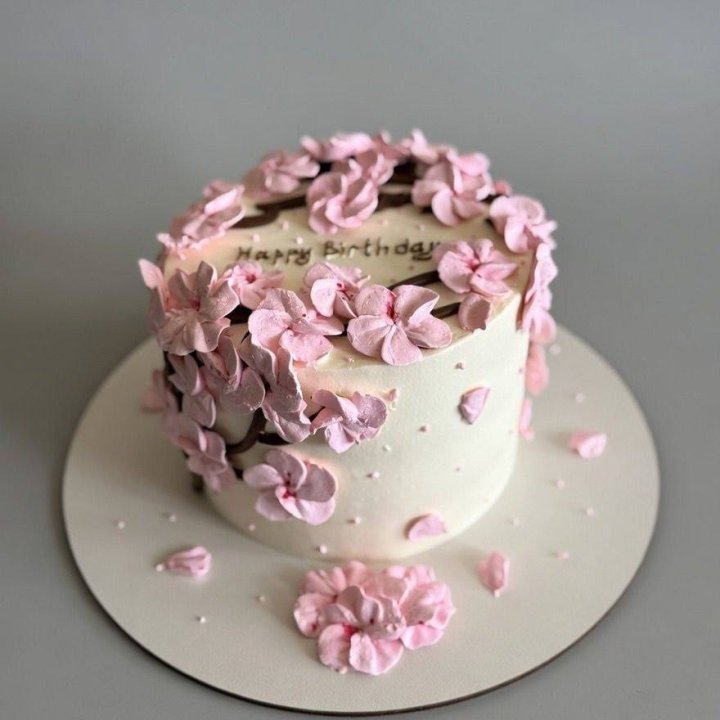 Бенто-торт "С днём рождения..." в Красной Поляне