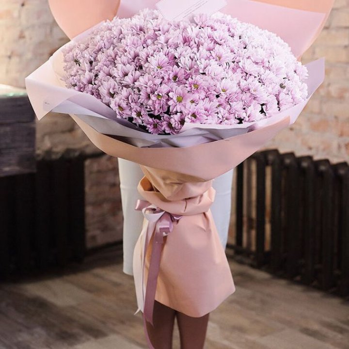 Облако хризантем №1 в Красной Поляне