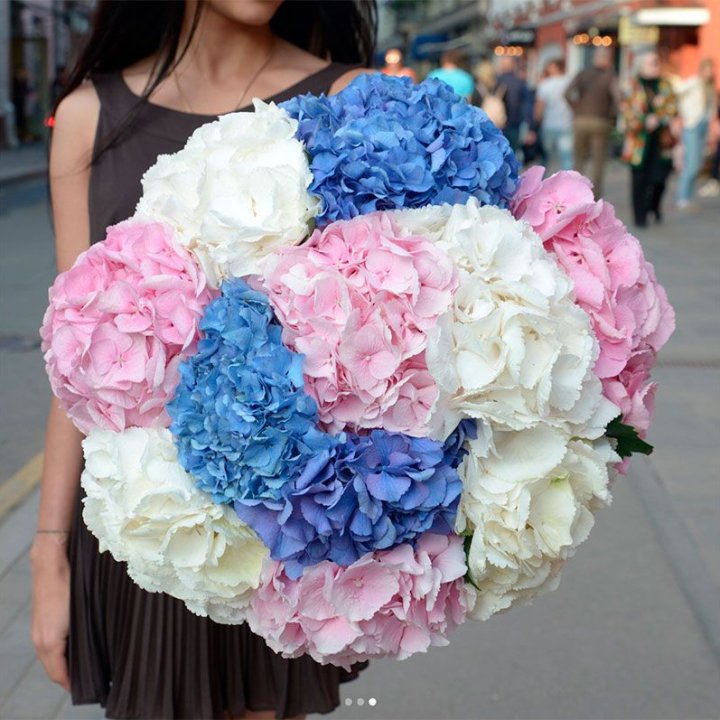 Букет гортензий "Инь-Янь" в Красной Поляне