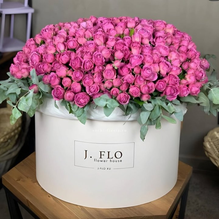 Цилиндр с Мисти Бабблс LUX в Красной Поляне