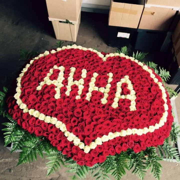 555 роз с именем в Красной Поляне