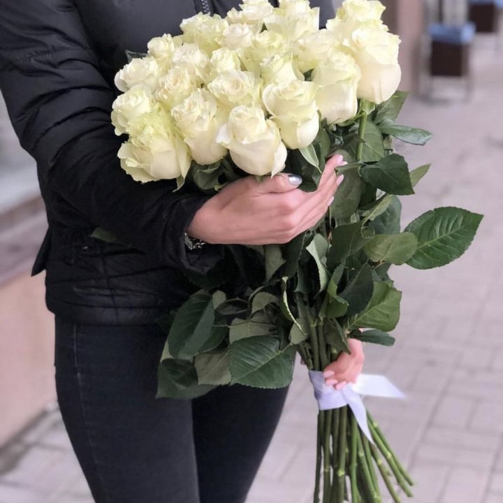 Голландские розы белые в Красной Поляне