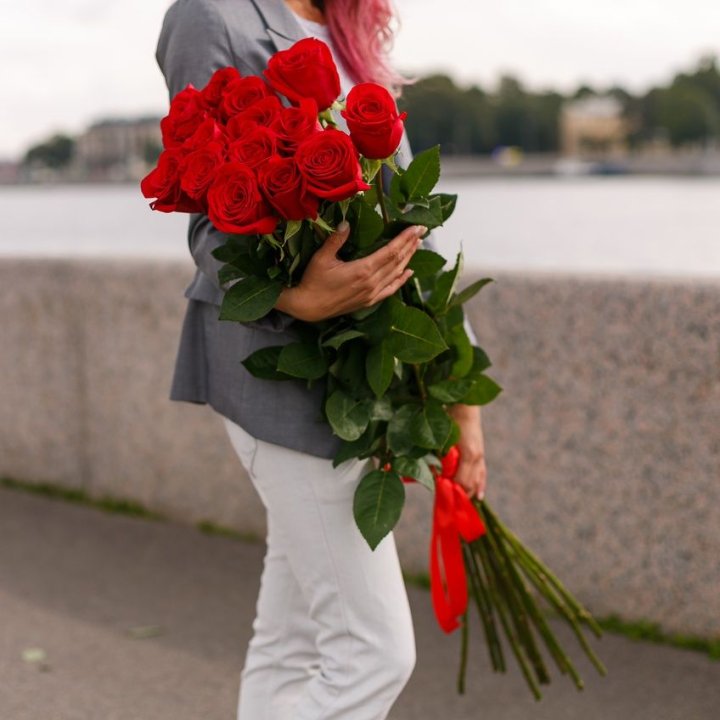 15 метровых голландских роз в Красной Поляне