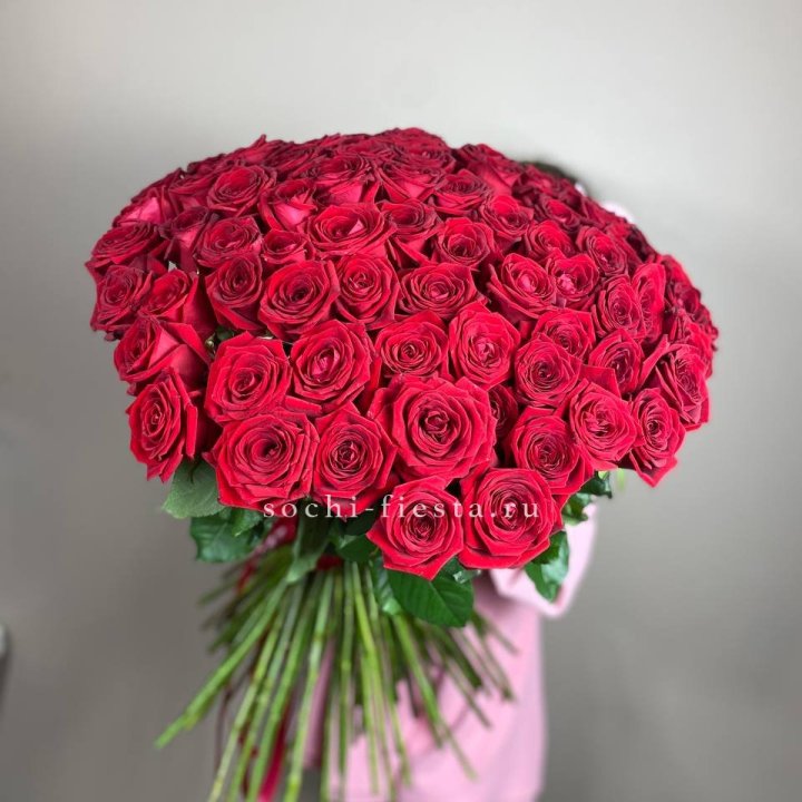 101  голландская роза  в Красной Поляне