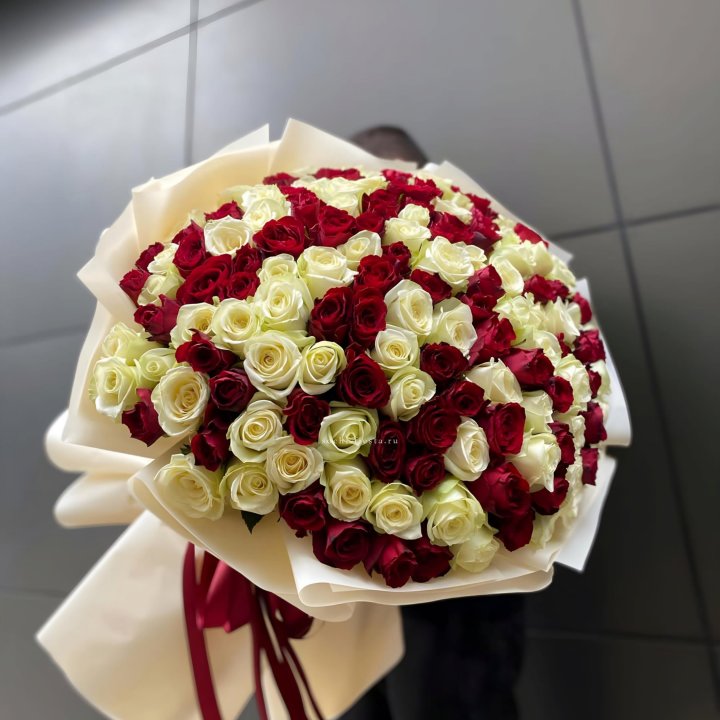 101 высокая импортная роза  в Красной Поляне