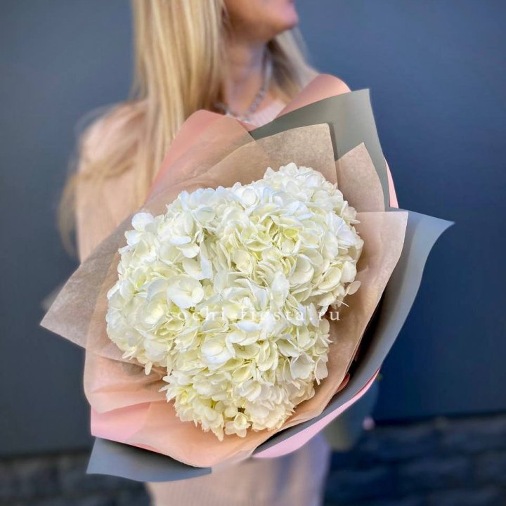 Гортензия Snow 3x в Красной Поляне