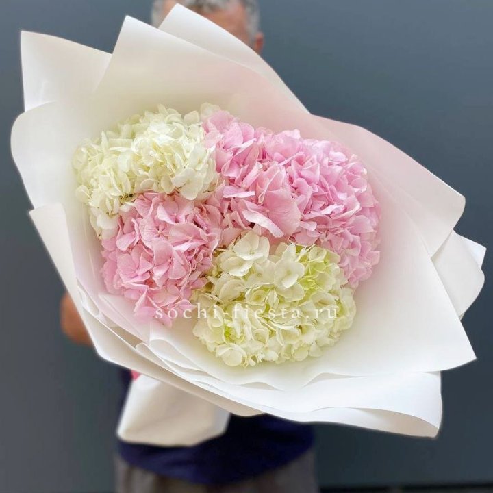 Букет гортензий "Moon" в Красной Поляне