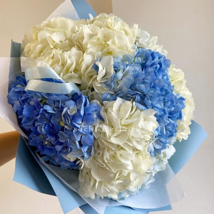 Букет гортензий "Blue clouds" в Красной Поляне
