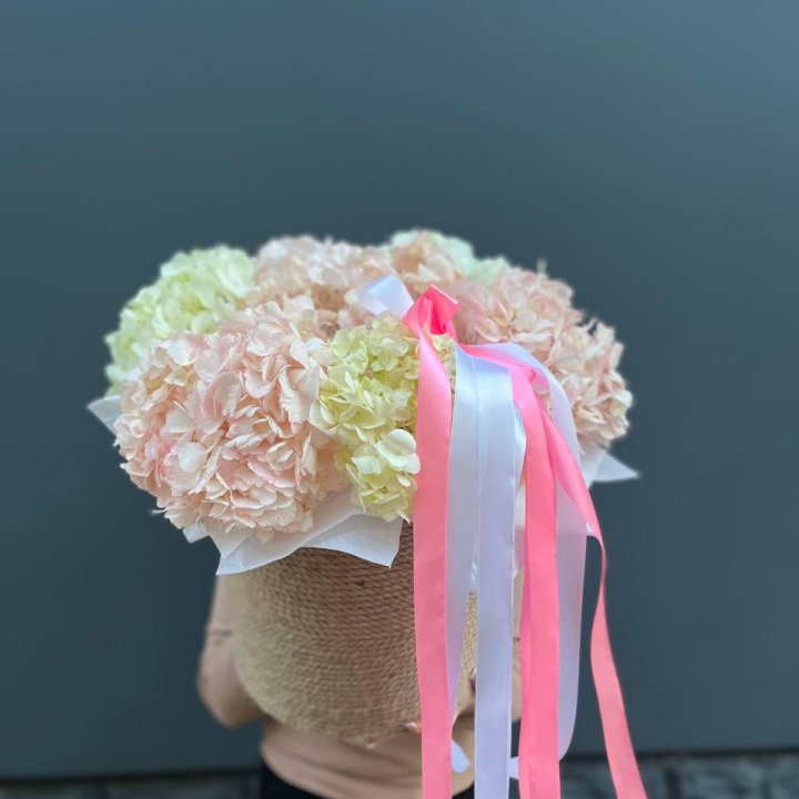 7 гортензий в кашпо в Красной Поляне