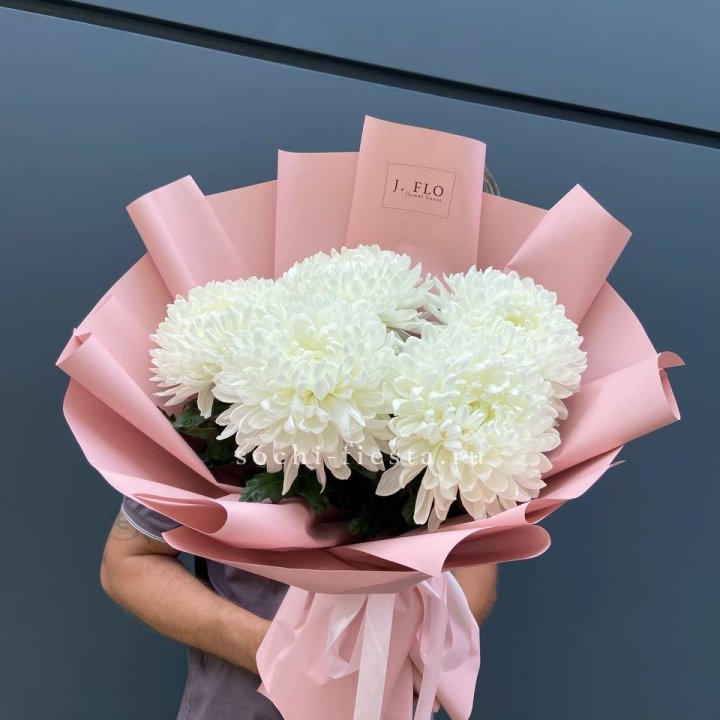 Профитроли №2 в Красной Поляне