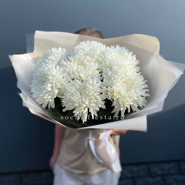 Профитроли в Красной Поляне