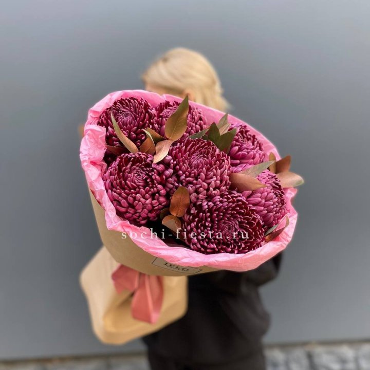 7 Хризантем Бигуди в золоте в Красной Поляне