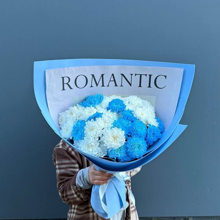 Дуо хризантем в Красной Поляне