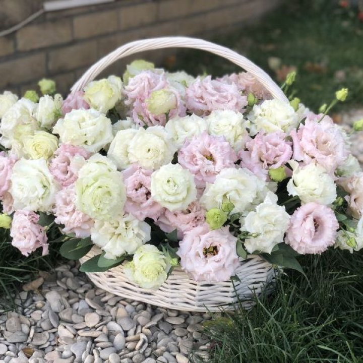 Корзина с эустомой в Красной Поляне