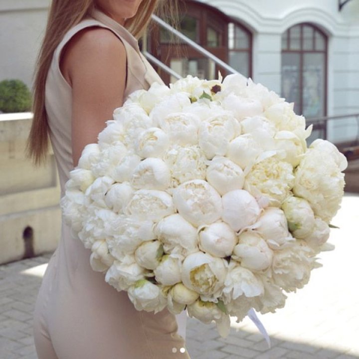 51 белый пион в Красной Поляне