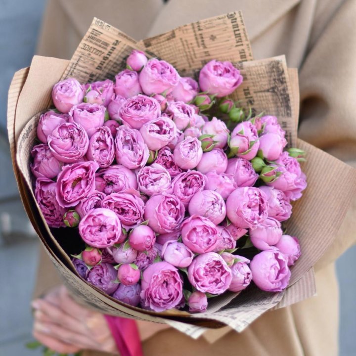 Роза Мисти Баблс в Красной Поляне