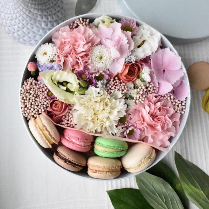 Creambox M в Красной Поляне