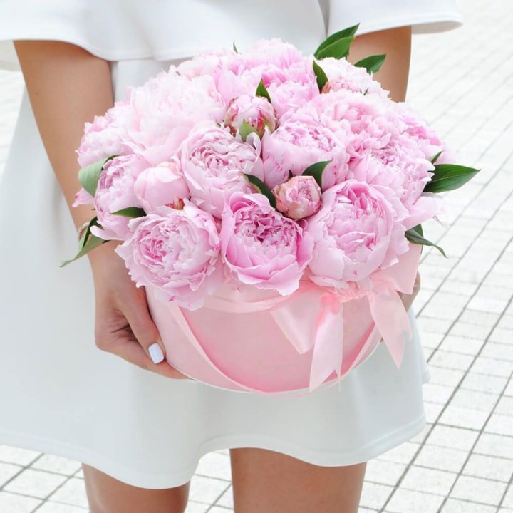 Пионы в шляпной коробке в Красной Поляне