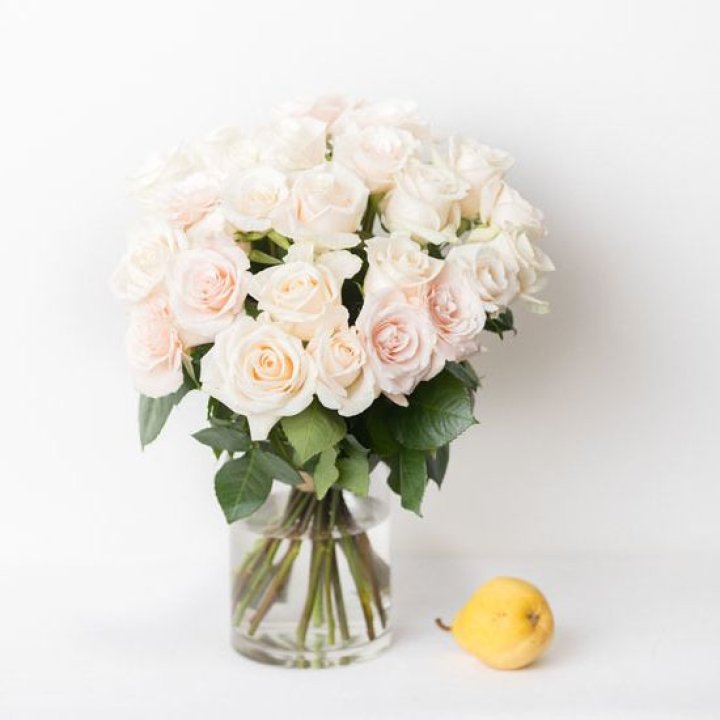 25 кремовых роз в Красной Поляне