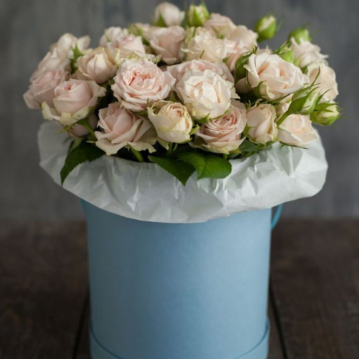 Flowerbox Sky в Красной Поляне