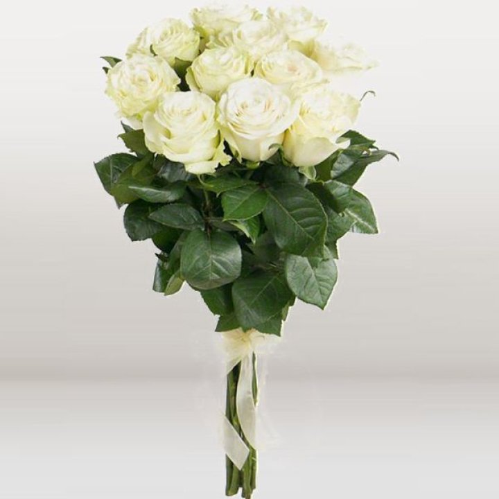 11 белых голландских роз в Красной Поляне