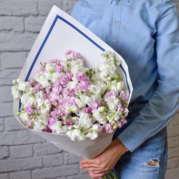 Маттиоли в Красной Поляне