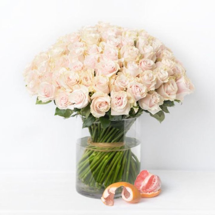 101 кремовая роза в Красной Поляне